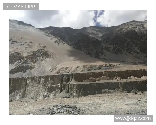 羽毛球传奇李敏的成长与挑战之路探秘