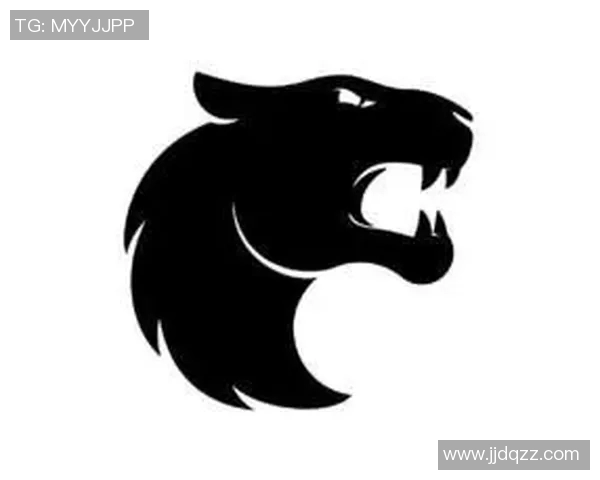 CSGO战术解析RNG战队中路突破体系的成功秘诀与实战应用