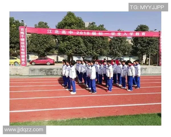 南京乒乓球队成长之路：从青涩少年到卓越冠军的奋斗历程